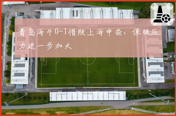青岛海牛0-1惜败上海申花，保级压力进一步加大
