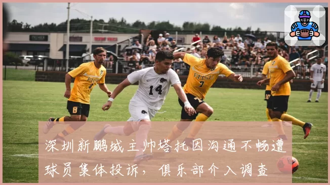 深圳新鹏城主帅塔托因沟通不畅遭球员集体投诉，俱乐部介入调查